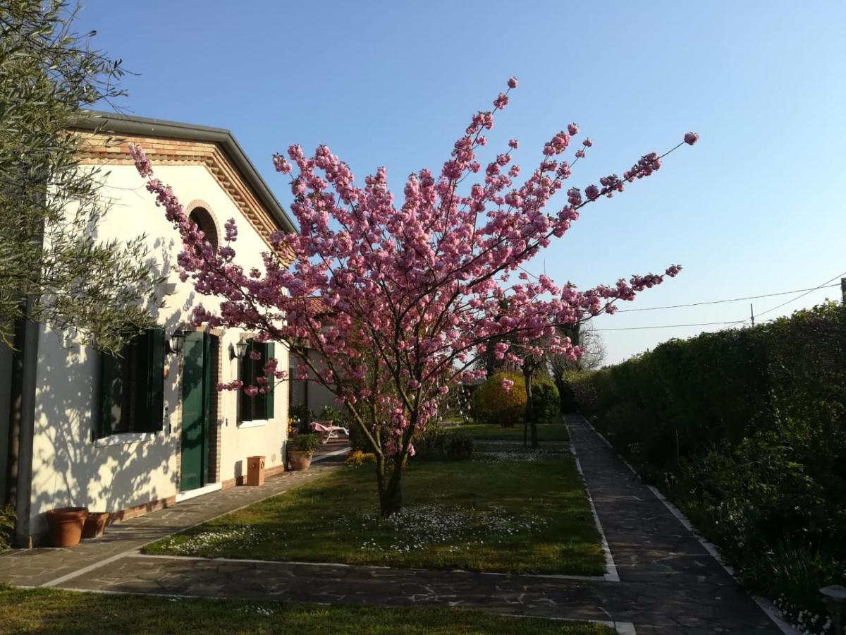 Casa Pianta Hotel Cavallino-Treporti Exterior photo